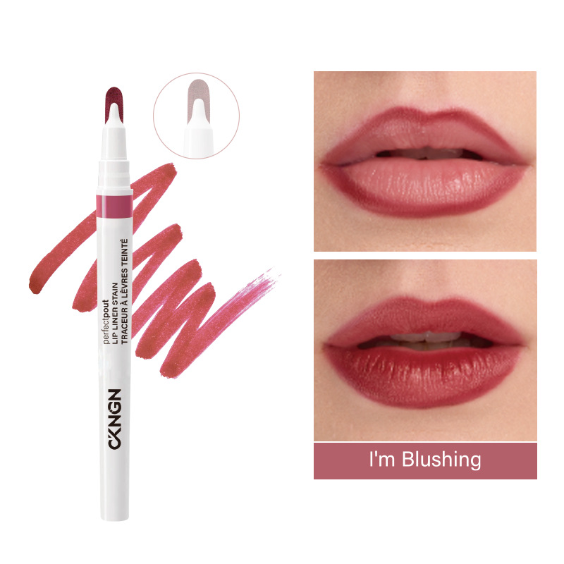 Precise Tip 2-in-1 Lip Liner & - đánh giá và giá Transfer Pen Ink